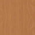 南亞中空發泡板板材色系-色系-櫸木(2GH)